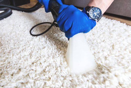 Can Carpet Cleaning in New York Save Your Allergies