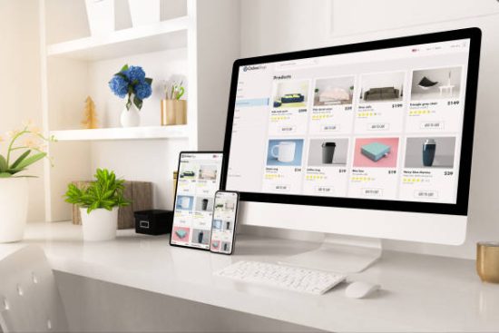 Ecommerce Website Development