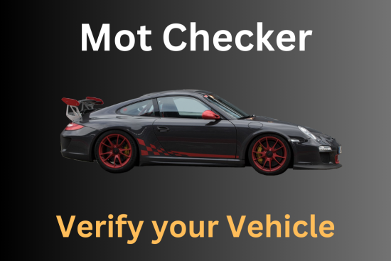 Mot Checker