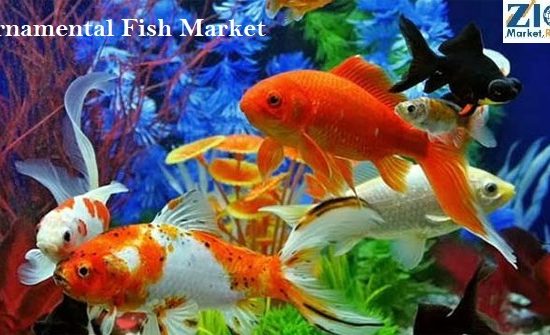 Ornamental Fish Market Size