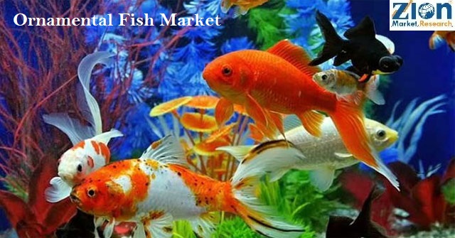 Ornamental Fish Market Size