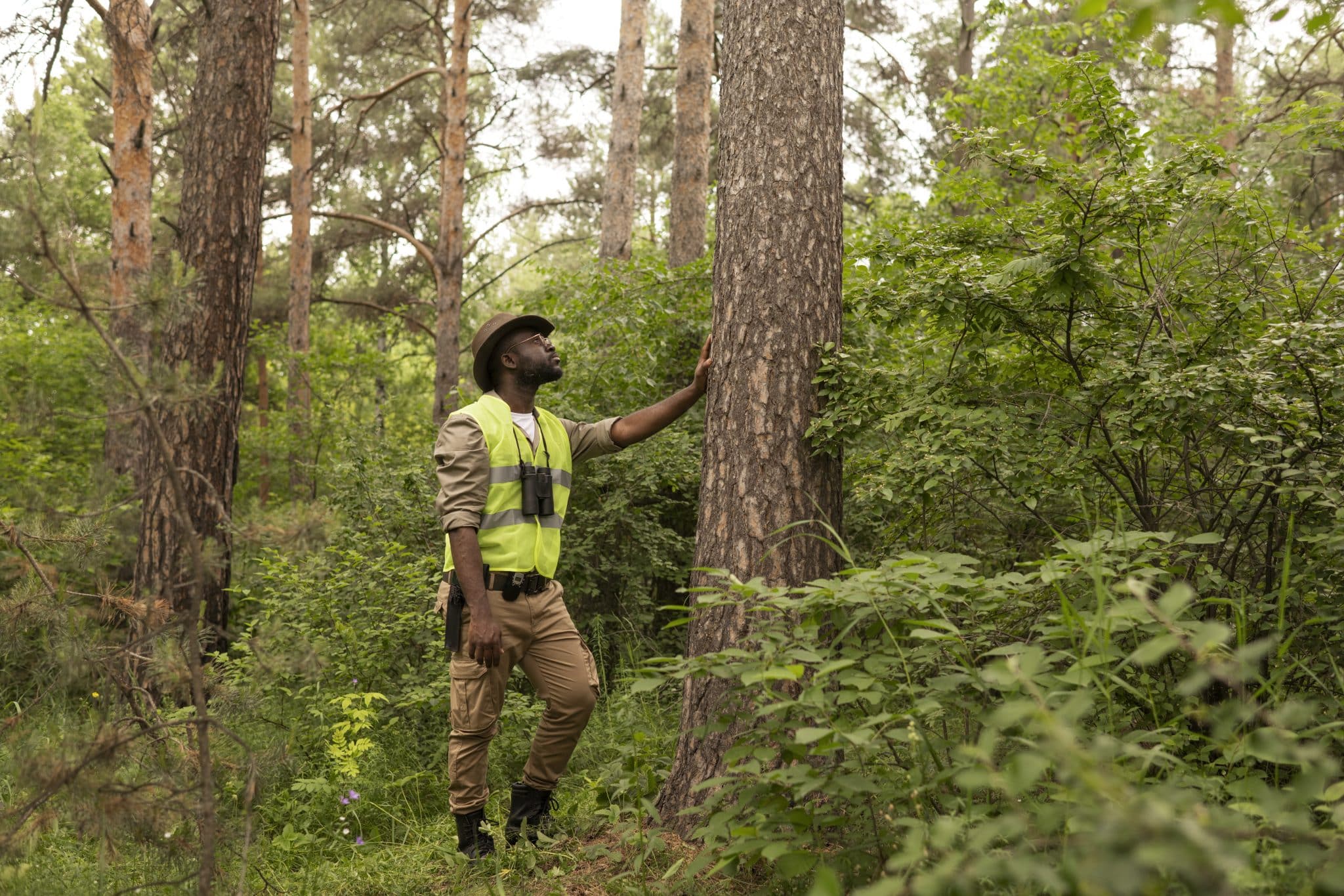 Professional-Arborist-Services-2048x1365