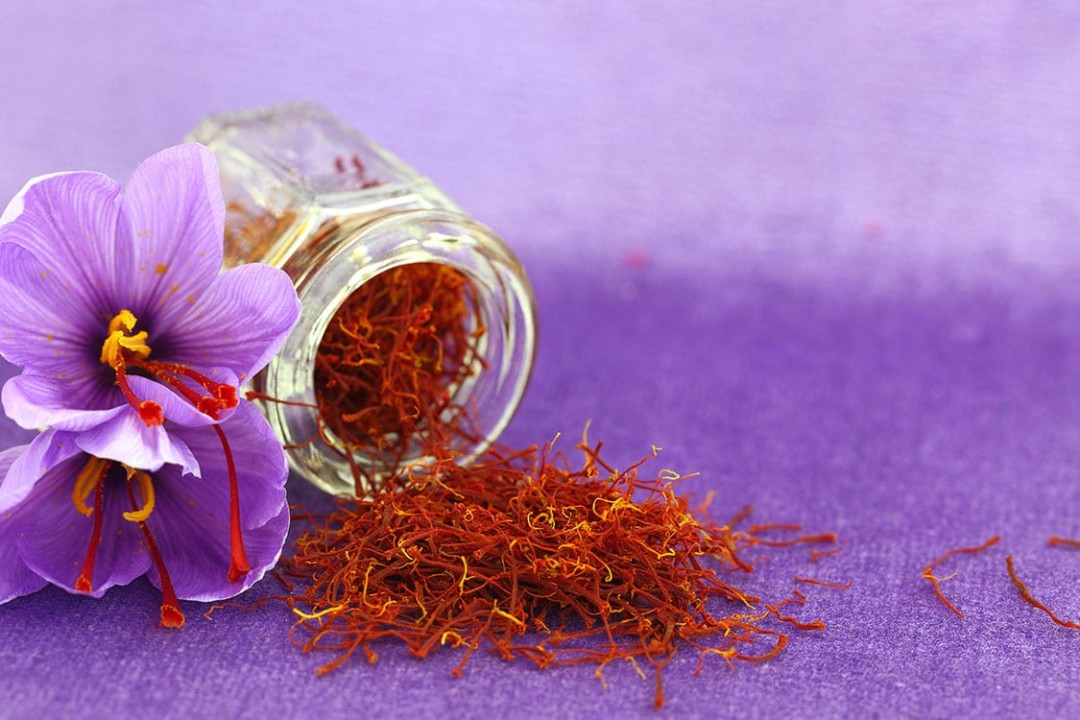 Saffron Buyers