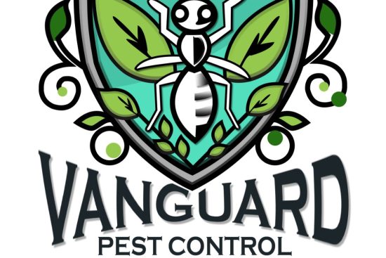 Vangaurd Eco solutions