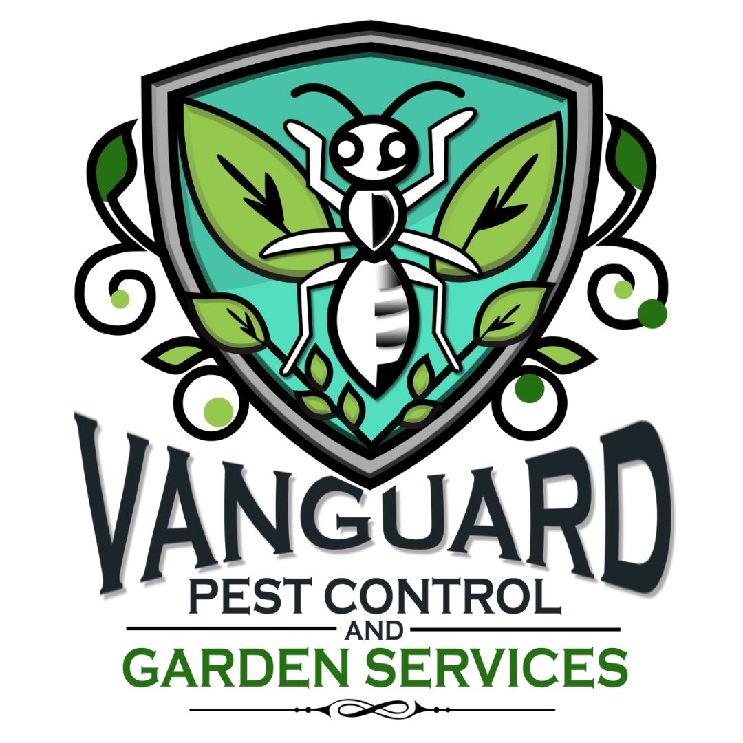 Vangaurd Eco solutions