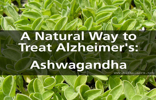 Ashwagandha in Alzheimer’s disease