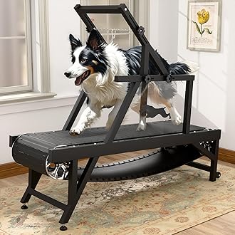 best dog treadmills for healthy pets 2024