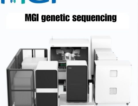 MGI genetic sequencing