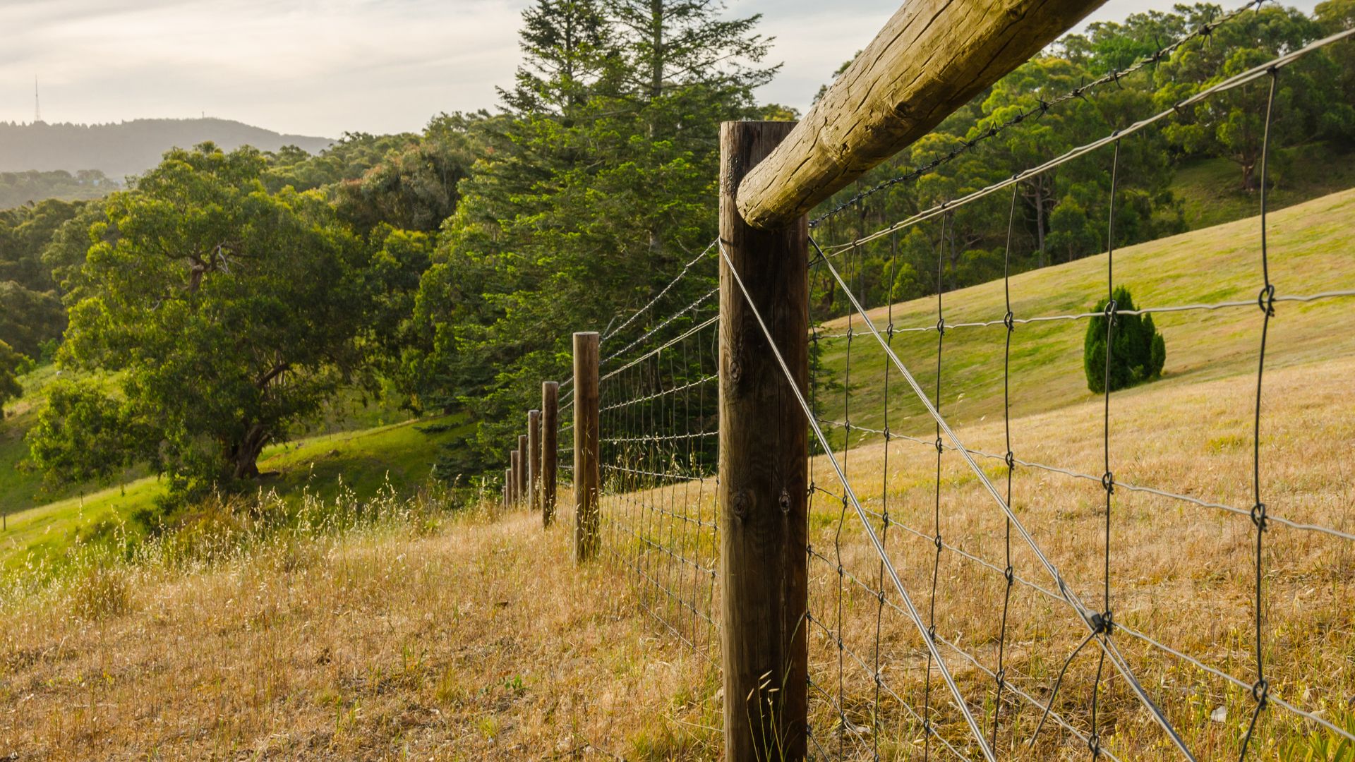 agricultural_fencing