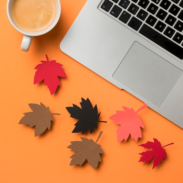 flat-lay-autumn-leaves-assortment_23-2148605599