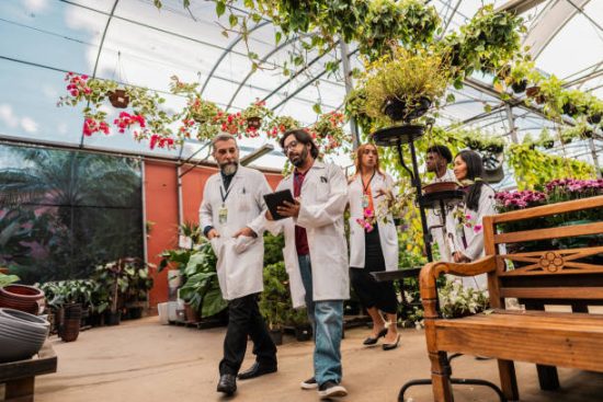 flower lab in abu dhabi