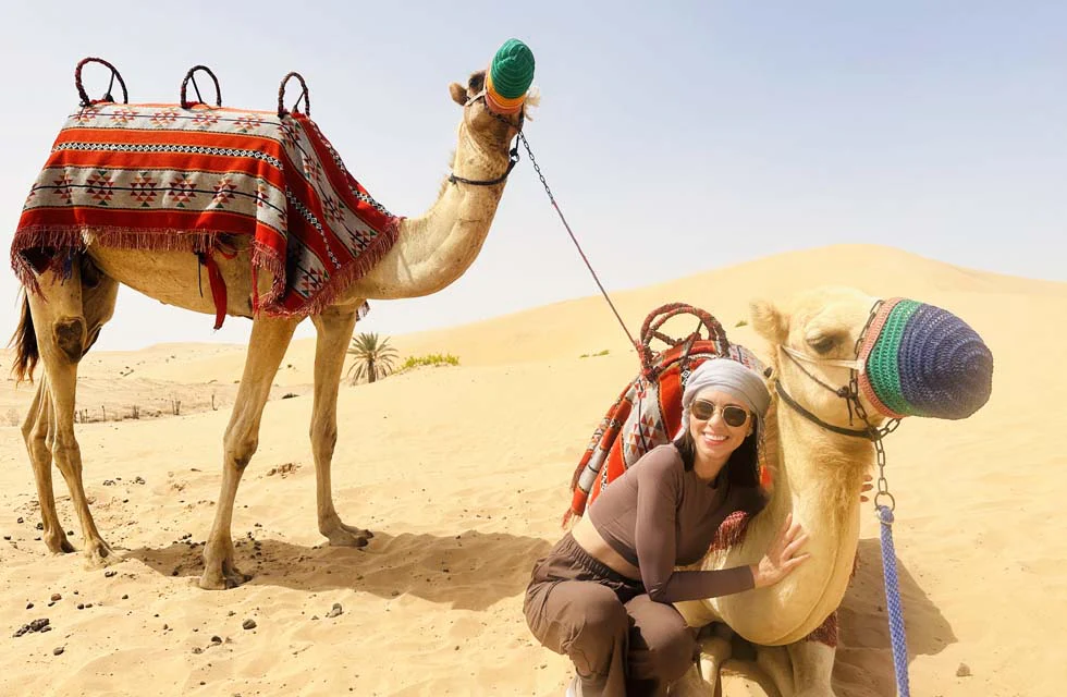 Top-Rated Desert Safari Abu Dhabi – Camel Rides, BBQ & More