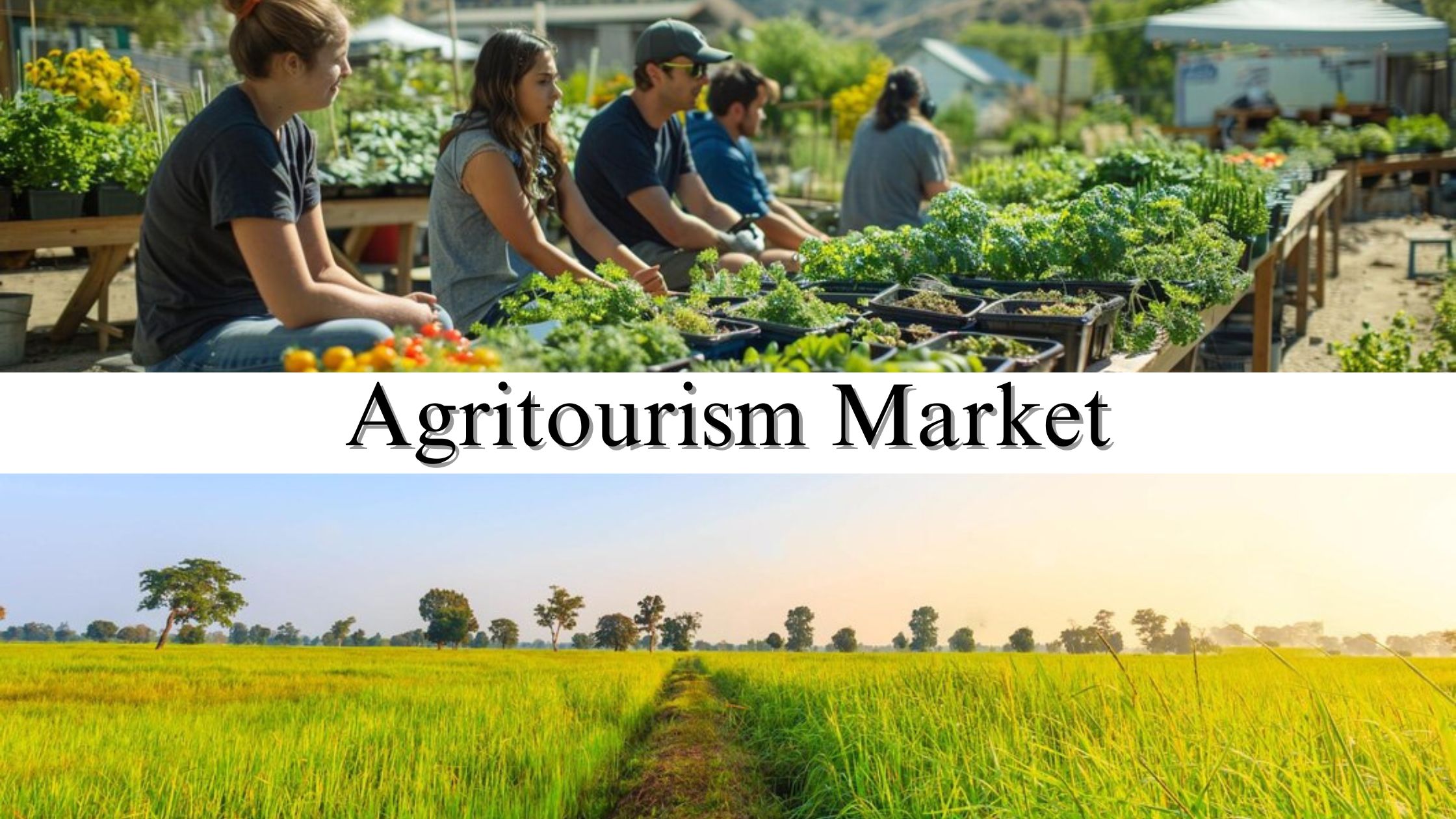 Agritourism Market