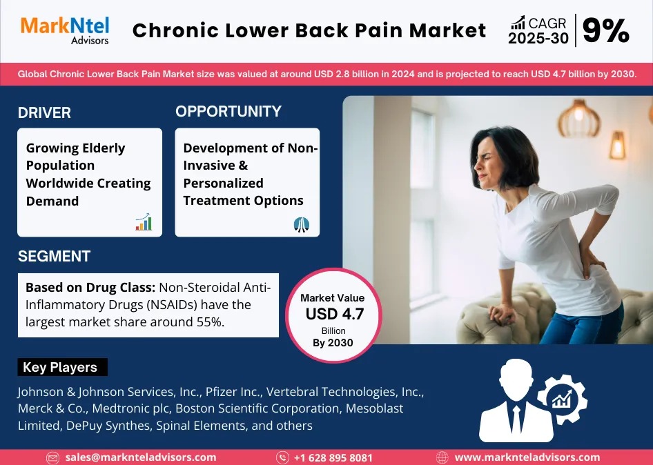 Chronic Lower Back Pain Market