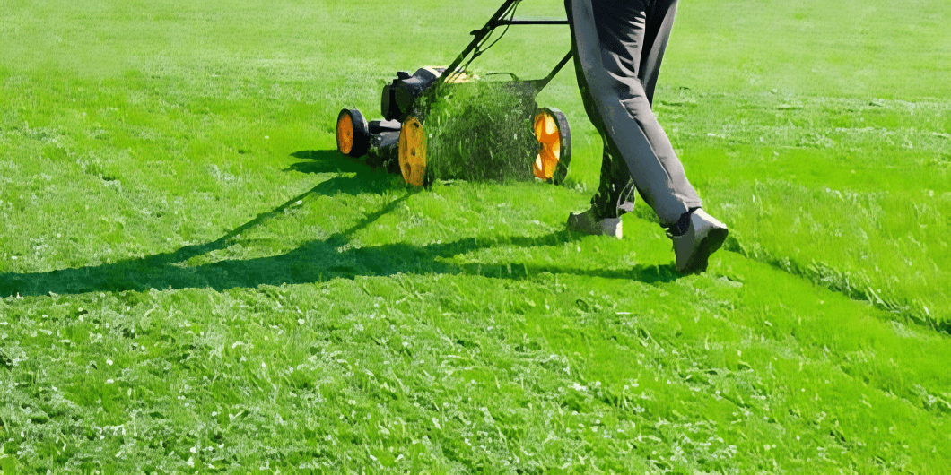 Lawn Health and Maintenance Why Expert Care Makes a Difference