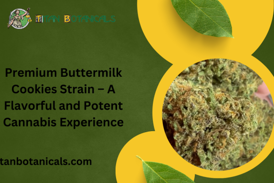 Premium Buttermilk Cookies Strain – A Flavorful and Potent Cannabis Experience (2)