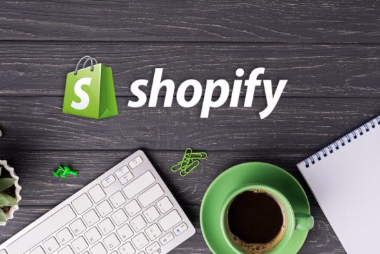 How to Design an Exceptional Shopify Store for Your Niche Market