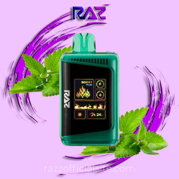 Winter-Green-–-RAZ-Vape-DC25000-600x600