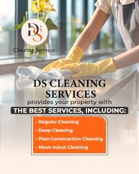 ds cleaning