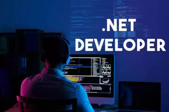 hire-.net-developer