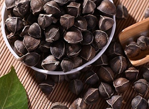 Moringa Seeds Suppliers India