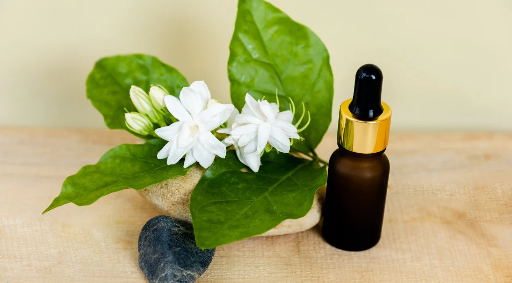 origin-types-of-jasmine-attar-jasmine-essential-oil-810617