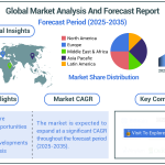 Global Market Analysis and Forecast Report-02