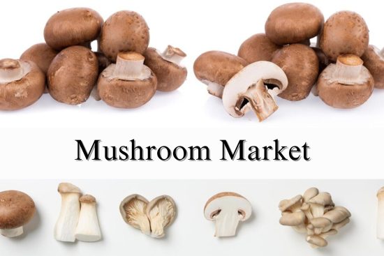 Mushroom Market