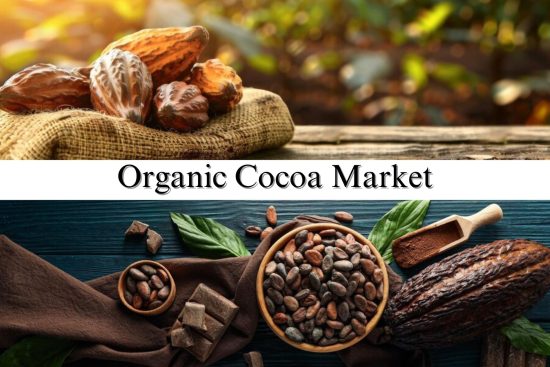 Organic Cocoa Market