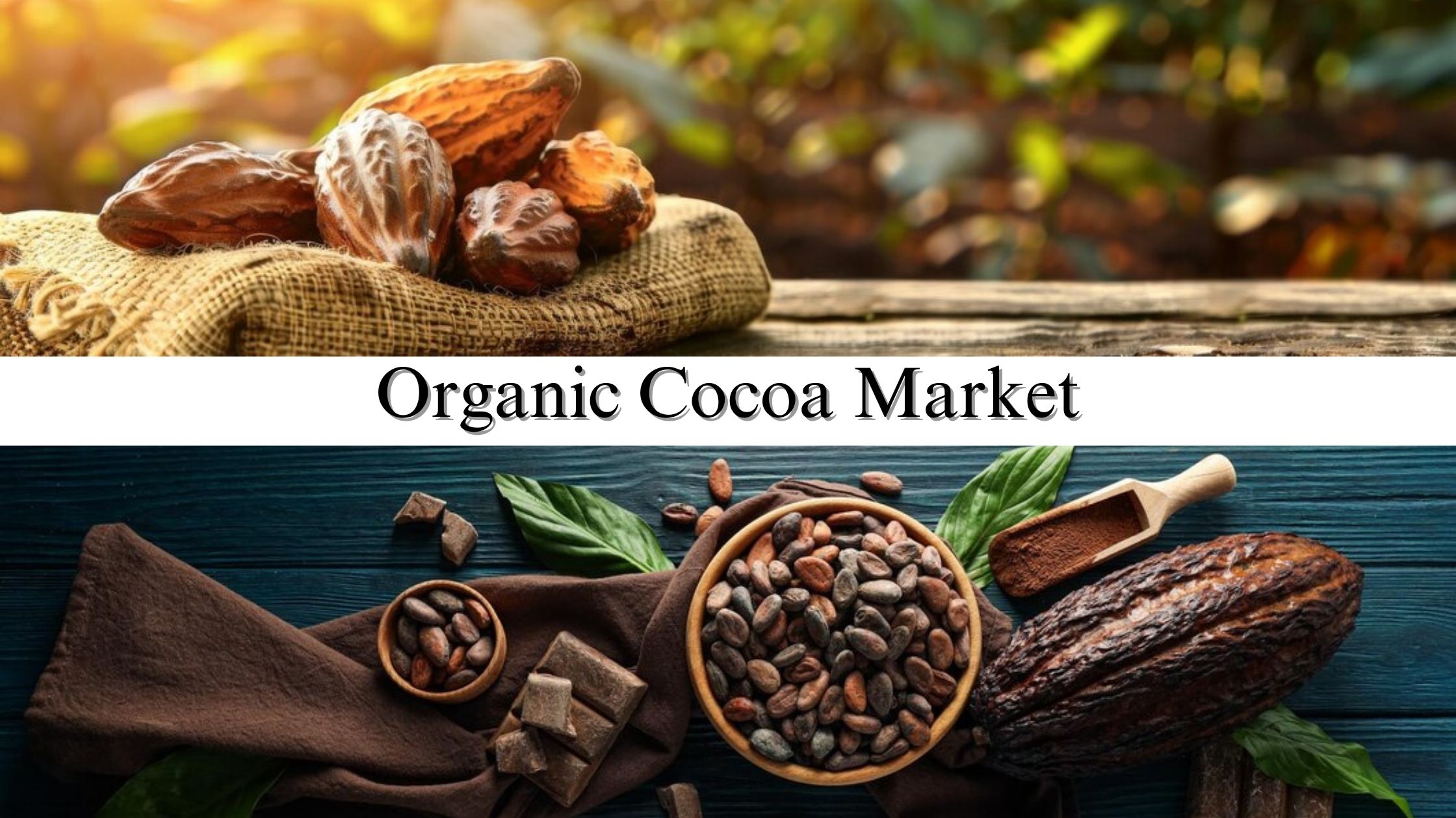 Organic Cocoa Market