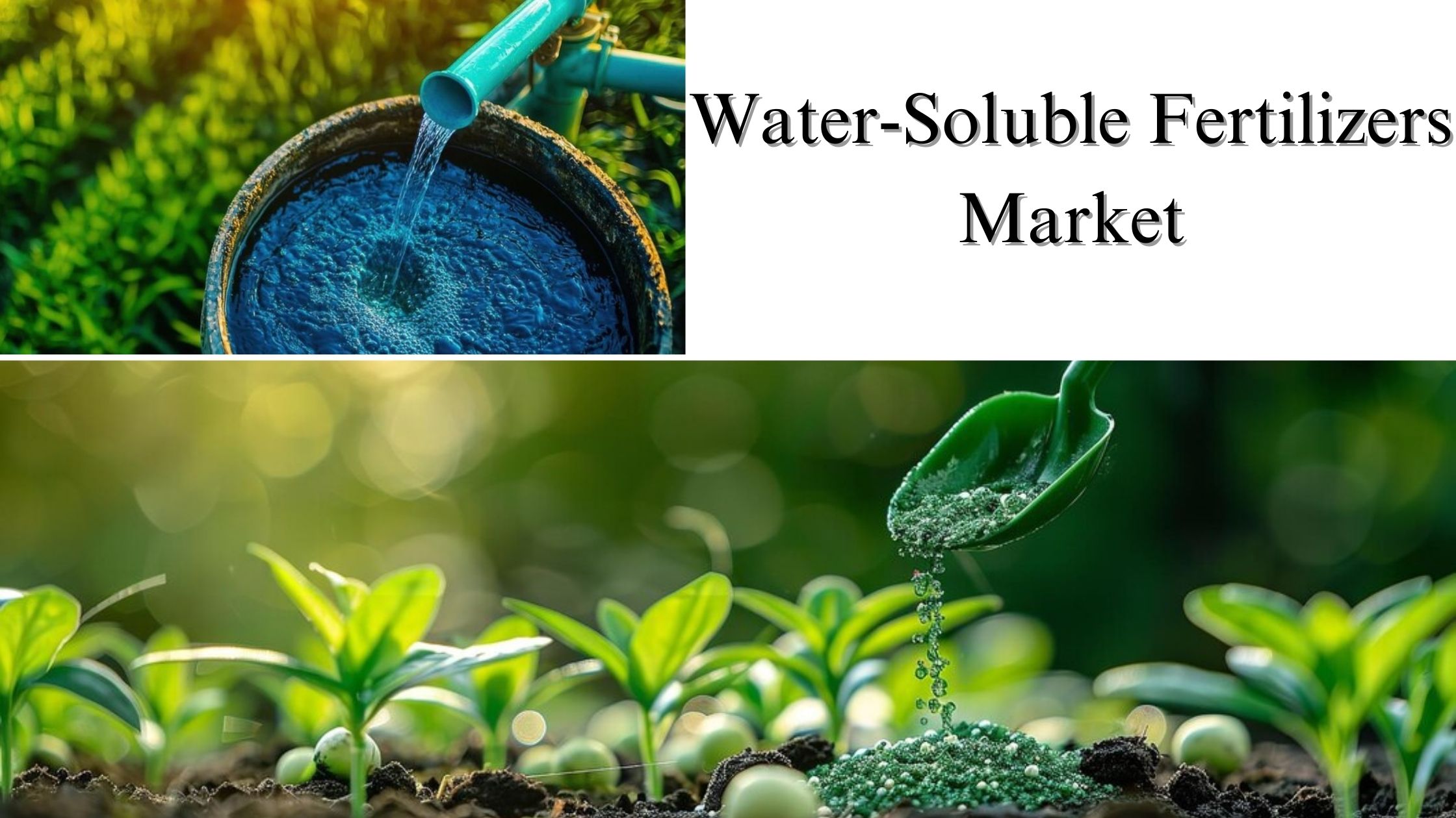 Water-Soluble Fertilizers Market