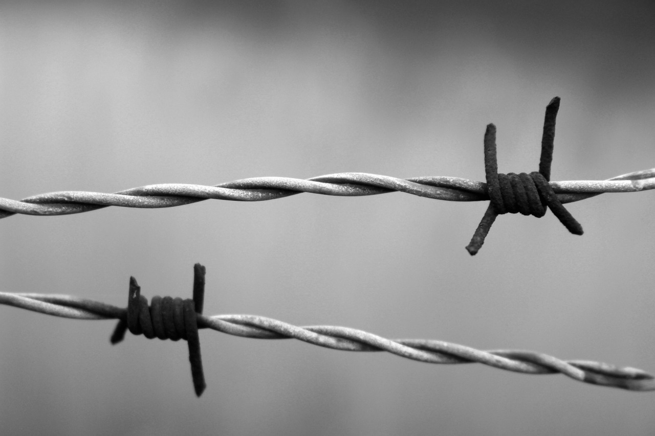 barbed-wire-1269430_1280