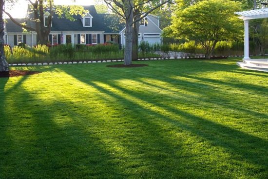 lawn care services forest park