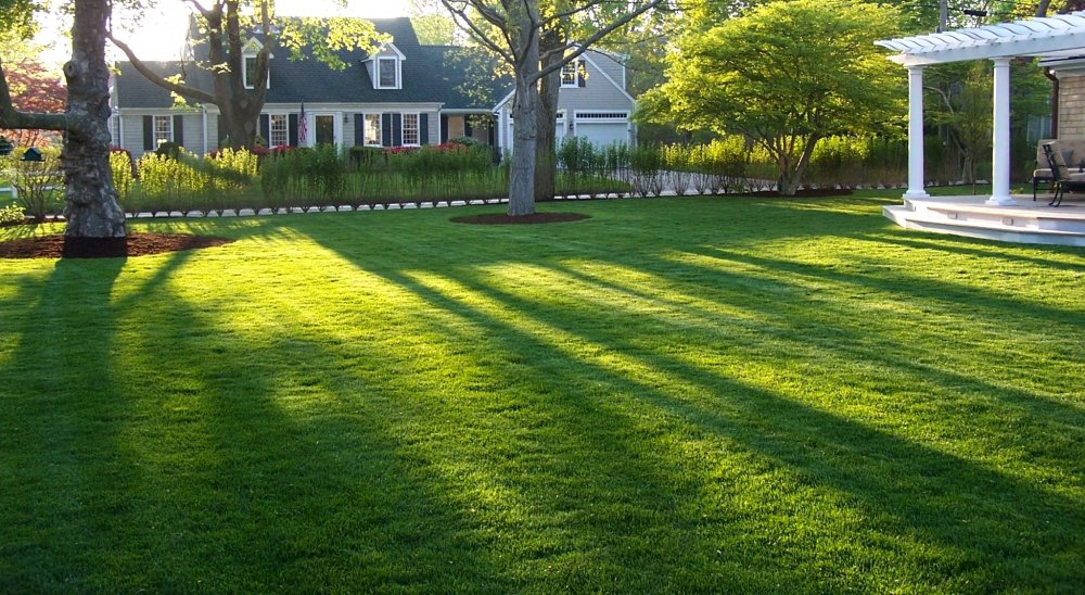 lawn care services forest park