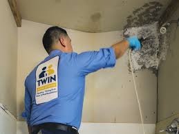 mold inspectors Van Nuys